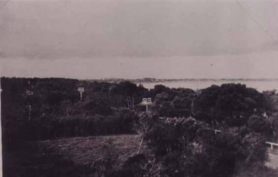 Elevated view of Beaumaris bush from roof of Sunnyland; 1921; P0478