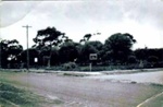 Ti-tree estate, 215 Bluff Road, Sandringham; c. 1938; P7694