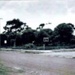 Ti-tree estate, 215 Bluff Road, Sandringham; c. 1938; P7694