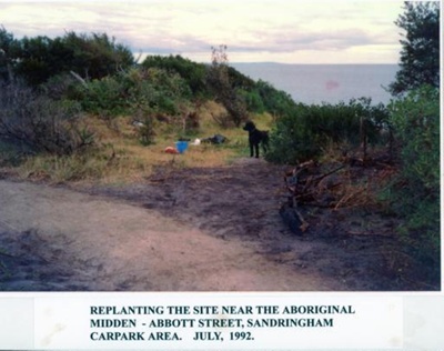 Protecting an Aboriginal midden; Friends of Abbott Street, Sandringham; 1992 Jul.; P9166