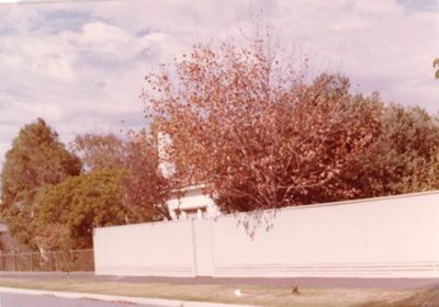 House and garden, 41 Avondale Street, Hampton; Venn family; 1954; P12334