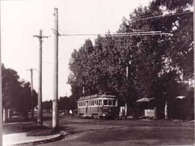Electric tram in Fernhill Road, Sandringham; c. 1960; P1474