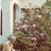 Keith Hutchinson with Silky Terrier in front garden, 41 Avondale Street, Hampton; Venn family; 1952; P12330