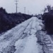 Remnants of the Beaumaris tram line.; 1955; P1112