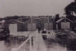 Boat sheds at Woods Rock Beaumaris.; 1921; P0497