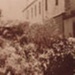 Hampton Hotel and garden; c. 1914; P0312