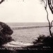 View near Cheltenham Beach.; R.W.P.; 1907/1908; P4716