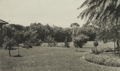 Semco Park : the garden; 1948 Jan.; P6394A
