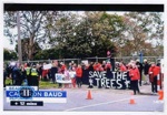 Save 229 Trees demonstration at the site of Sandringham College, Beaumaris Campus; Channel 7; 2016 Oct. 24; P12121