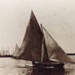 Yacht under sail; c. 1900; P1589