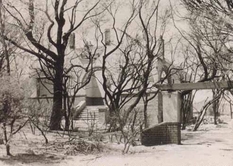 Aftermath of bushfire through Beaumaris.; 1944; P0815 eHive