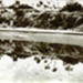 Seaside reflections; Awburn, Claude Frederick; 1931?; P4400-2
