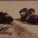 Ebden Avenue, Black Rock; Betw. 1913 and 1921; P1584