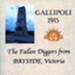 Gallipoli 1915 : the fallen diggers from Bayside, Victoria; Withers, Jan; 2015; B1175