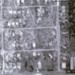 Aerial view of Highett; 1951; P11993