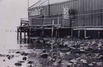 Keefers Boatshed, Beaumaris; 1978; P0517
