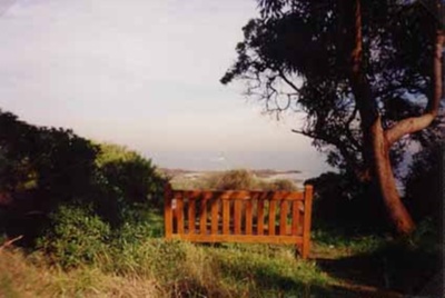 Clifftop overlooking Ricketts Point; 1999; P5364