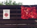 ANZAC Day knitted poppies displayed during lockdown, Sandringham; Zammit, Gwen; 2020 Apr. 25; PD3347