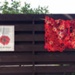 ANZAC Day knitted poppies displayed during lockdown, Sandringham; Zammit, Gwen; 2020 Apr. 25; PD3347