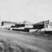 Soldier settlement homes, Tulip Street, Black Rock; 195-; P5000-44