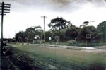 Ti-tree estate, 215 Bluff Road, Sandringham; c. 1938; P7695