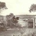 Picnic Point, Sandringham; Awburn, Charles Frederick; 192-?; P4400-37
