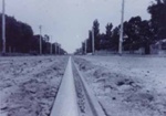 Tram track and broken-up road; 1955 Nov.; P1111