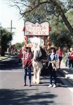 Jim Bisset's horse, Silver, pulling Mentone Girls' High School travelling theatre; 198-; P9019