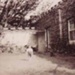Black Rock House. Child in courtyard; 191-; P1348