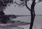 Boatsheds at Woods Rock; c. 1940; P0591