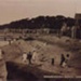 Sandringham beach looking north; c. 1910; P0657