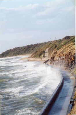 The walkway, Black Rock beach; Petch, Patricia; 2003 Jul.; P6527