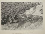 Bunurong midden, Half Moon Bay; Scott, George; 1988 Mar.; P2385