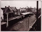 View of Melrose Street, Sandringham; 1924; P1478