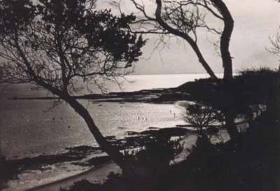 View of Quiet Corner through the trees; c. 1938; P0812