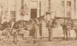 Duke of Edinburgh Hotel. Horses.; McDonald, D., St.Kilda; betw. 1870 and 1882; P0376