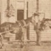 Duke of Edinburgh Hotel. Horses.; McDonald, D., St.Kilda; betw. 1870 and 1882; P0376