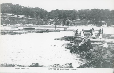 Low tide at Black Rock, Victoria; Rose Stereograph Co.; 190-; P4407