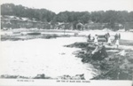 Low tide at Black Rock, Victoria; Rose Stereograph Co.; 190-; P4407