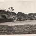 Damaged sea wall near Sandringham; Miller, G. L.; 1930 Mar.; P9272