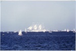 Bi-Centenial Sail Past 1988; 1988; P9763