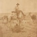 Charlie H. Stevens on camel, Egypt, World War I; betw. 1914 and 1918; P0029