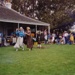 City of Bayside Australia Day celebration at Black Rock House; 1999 Jan. 26; P3228-7