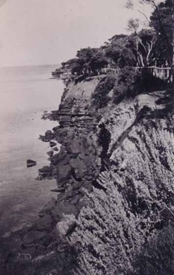 Cliffs at Beaumaris, looking south towards Table Rock; 1921; P0480