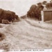 Beach Road, Ebden Park, Black Rock; 191-?; P3315