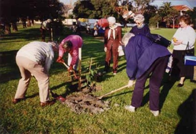 Planting trees given by Sandringham and District Historical Society in the Triangle Gardens, Hampton; Jones, Alan G. (1919-2009); 1996 Aug.; P3067-5
