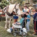 Jim Bisset's horse, Silver, with disabled children; 1989 Dec. 3; P9000