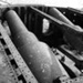 HMVS Cerberus; Reynolds, Pauline; 1984; PD3707