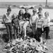 Keep Sandringham Beautiful bottle collection; Reynolds, Pauline; 1987; PD3732