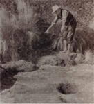 Wally Goodbody at the Aborigines' well, Beaumaris; 1960; P1937